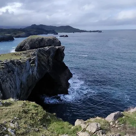 El Sauce De Amalia Celorio (Llanes)