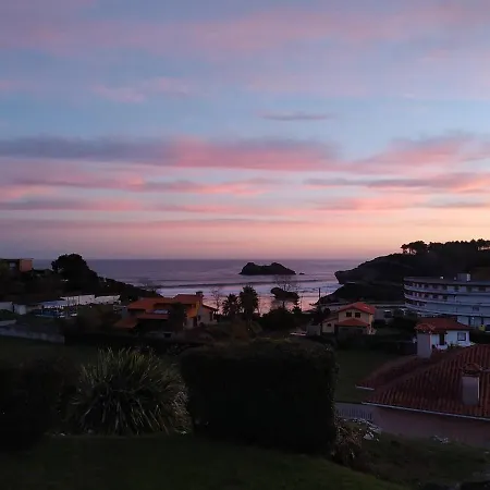 El Sauce De Amalia Celorio (Llanes)