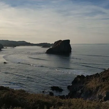 El Sauce De Amalia *