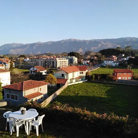 El Sauce De Amalia *