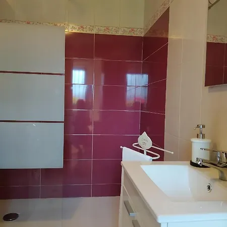 El Sauce De Amalia *