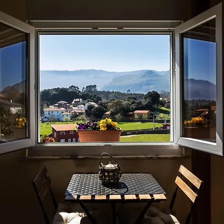 El Sauce De Amalia Daire Celorio (Llanes)