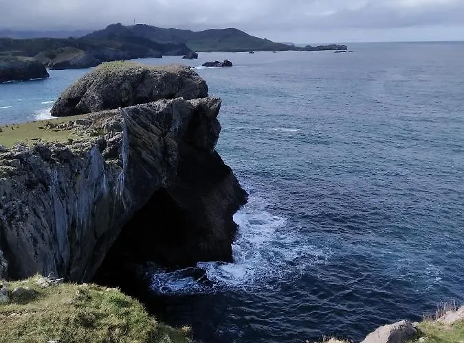 El Sauce De Amalia Celorio (Llanes)