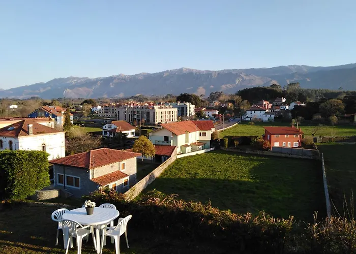 El Sauce De Amalia *