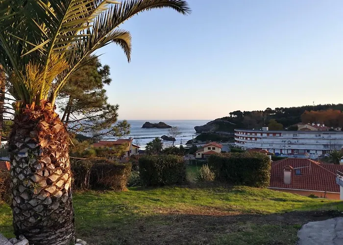 El Sauce De Amalia * Celorio (Llanes)