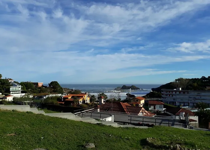 El Sauce De Amalia * Celorio (Llanes)